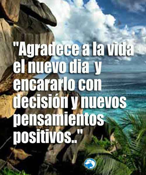 Reflexiones Cortas Vida Diaria Positivas 3 Frases Bonitas